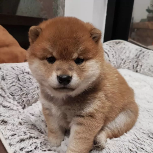 螢幕擷取畫面 2025-08-30 234518