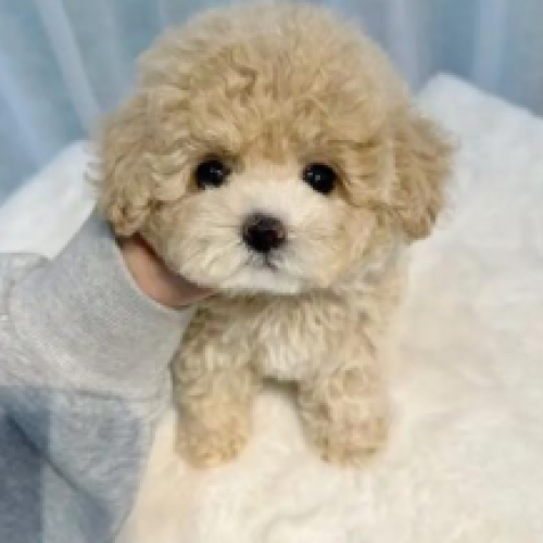 螢幕擷取畫面 2025-08-30 235238